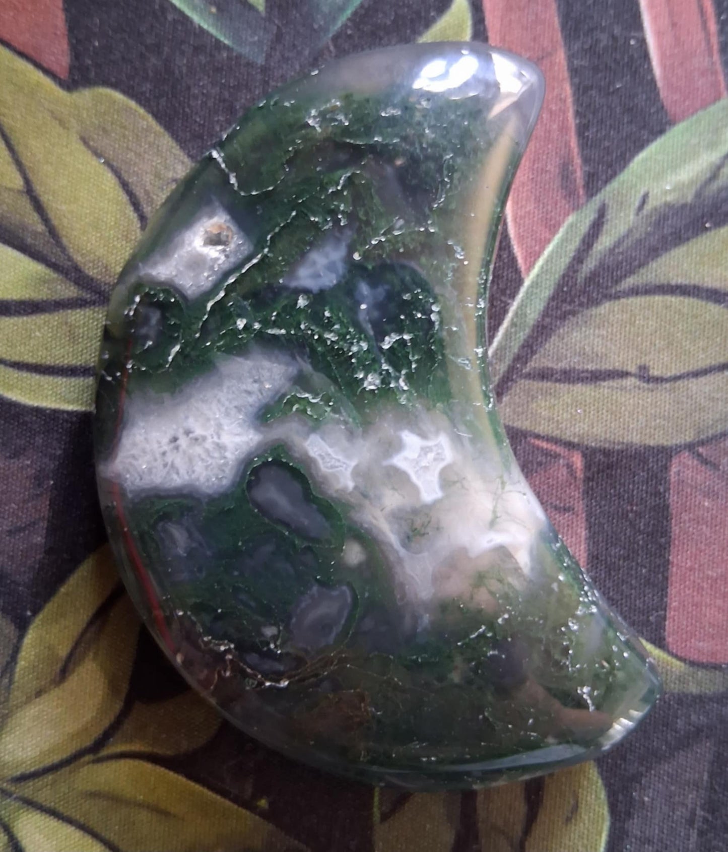 Crystals: Tree Agate Moon Crystal Palm Stone